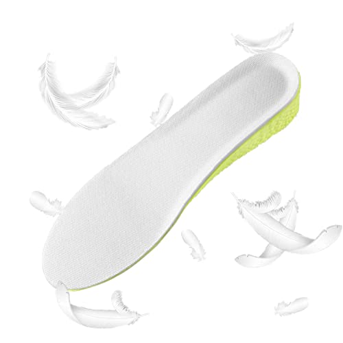 FIDEMM C̃C\[ƃCT[g - gL΂C\[ | ڂɌȂgu[XgC\[AnCLOAjOAEH[LOA[Nu[cAAX`bNp̐gC\[