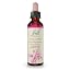 Crab Apple 20ml