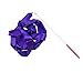 Aofocy 4 M Rubans De Danse Rythmique Gymnastique Ruban Streamer Rod Baton Rubans Twirling avec Bâton pour Enfants Danse Artistique 1 Pcs Pourpre