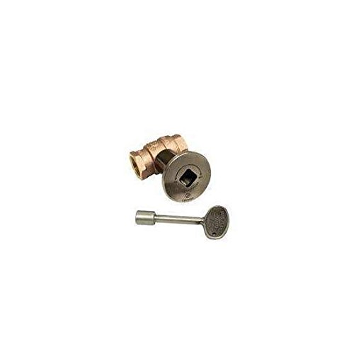 Hearth Products Controls Hpc Fire 3/4-Inch Straight Gas Fire Pit Shut Off Valve Kit (Mspw-Hc), Pewter Flange And Key #TOP10