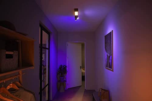 Philips Hue Centris Opbouwspot 2-Lichts - Wit en Gekleurd Licht - Duurzame LED Verlichting - Dimbaar - Verbind met Bluetooth of Hue Bridge - Werkt met Alexa en Google Home - Zwart - Rechthoekig