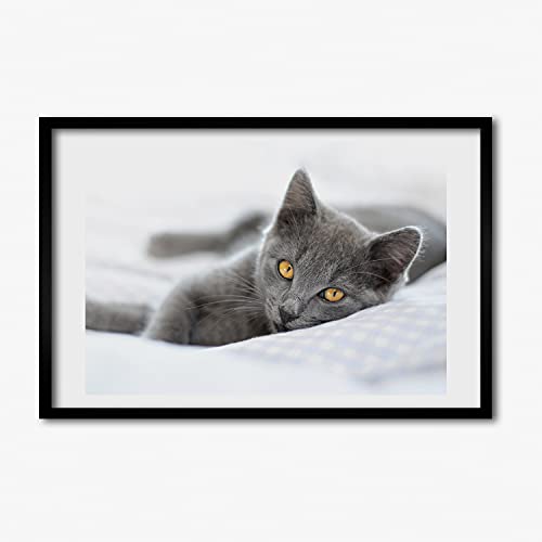 Cadre mural 60x40 cm chat gris pour décorer facilement un mur blanc