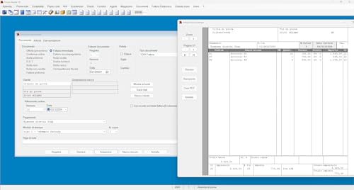 Aquila 18 - Software Gestionale Contabilità Ordinaria - 8
