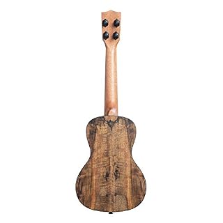 Kala KA-MG-C – Manguier coti – Ukulele concert - Les Beatles, Paul McCartney, John Lennon, RIngo Starr, George Harrison Kala KA-MG-C – Manguier coti - Ukulele concert – Image 2
