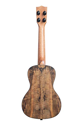 Kala KA-MG-C – Manguier coti – Ukulele concert - Les Beatles, Paul McCartney, John Lennon, RIngo Starr, George Harrison Kala KA-MG-C – Manguier coti - Ukulele concert – Image 3
