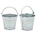 Juvale Mini Galvanized Metal Tins & Metal Pails - 6-Pack, 3 in H x 3.5 in W, Silver - Rustic Party Favors & Succulent Planters - Tin Cans for Crafts & Home Decor - Mini Baskets for Favors