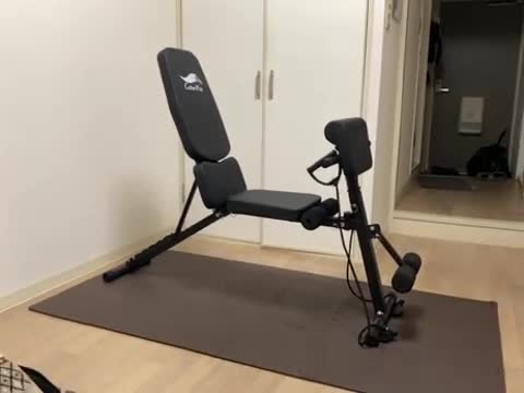 Amazon.co.jp: トレーニングベンチ インクラインベンチ デクライン