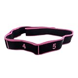 Fitness Resistance Band for Stretching and Yoga,8 Section Dance Stretching Belt Pilates Pull Strap，Adjustable Bands for Full Body Stretching Shaping