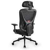 Eucladoceros Sedia da ufficio ergonomica, con schienale sollevabile, con supporto lombare 3D e braccioli 4D, inclinazione di 90°-125°, portata 150 kg, ideale per ufficio domestico (nero)