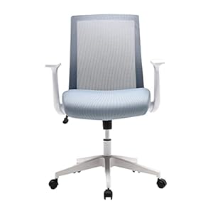 Office Chair, Mesh Back Desk Chair, Swivel Ergonomic Computer Chair with Flip-Up Arms and Adjustable Height (Light Blue)