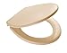 Produktbild RIDDER 02101111 WC-Sitz mit Soft-Close Miami beige, Polypropylen