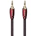 AudioQuest - Golden Gate (1.0m, Mini-to-Mini)