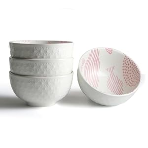 AOOSY 4-teilig Porzellan Müslischalen Set