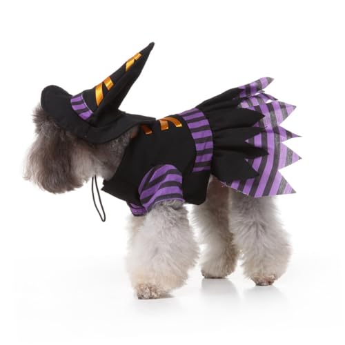 Disfraz Halloween Bruja para Perro Talla L miniatura 2