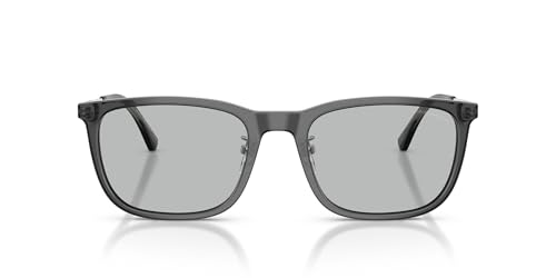 EMPORIO ARMANI (エンポリオアルマーニ) サングラス メンズ フレーム/シャイニートランスペアレントグレー (SHINY TRANSPARENT GREY) レンズ/ライトグレー (LIGHT GREY) レンズ幅56mm 0EA4275D