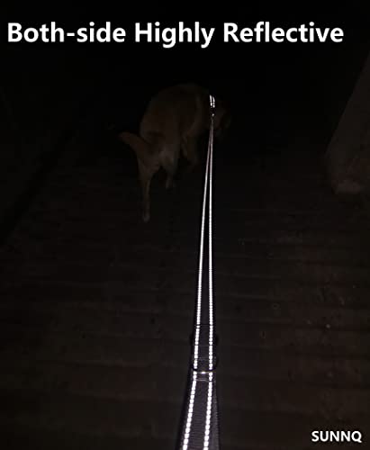 Sunnq 6Ft Reflective Dog Leash For Medium And Large Dogs With Soft Padded Handle, Double-Side Reflective Heavy Duty Dog Leashes For Walking And Training, Strong And Durable Nylon Lead With D Ring #TOP6