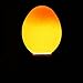 Flexzion Egg Candler Tester - High-Intensity Cool Spectrum LED Candling Light for Chicken Eggs, Dark Quail Duck Canary Eggs, Egg Light Fertility Egg Viewer with 2 Lampshades & Power Adapter