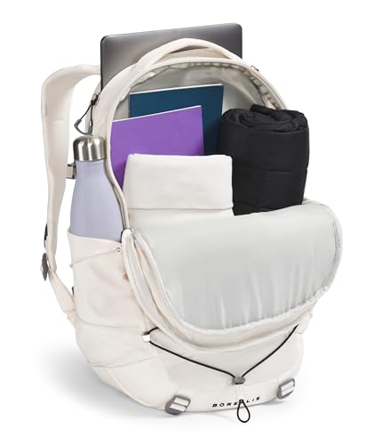The North Face womens Women's Borealis Daypack