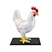 4d Vision Chicken Anatomy Model, Chicken Skeleton & Anatomy Model Kit, Detachable 32 Parts Scientific Anatomical Animal Model, Puzzle Assembly Toy Kit