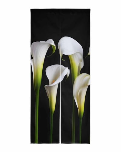 Sauoromeon ̂ J[e 100x250cm  Ռ g hAJ[e d؂ ډB ʋC a  tbg OΉ Ђt A XYmL Vv i   Lb` rO tďH~