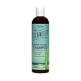 The Seaweed Bath Co. Balancing Eucalyptus and Peppermint Argan Shampoo, 12 oz