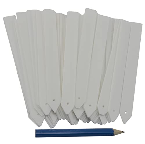 AERZETIX - C63575 - Lot de 50 Étiquettes de marquage pour plantes et fleurs 13 x 115 mm + crayon - semis en pot jardin pépinière légumes cultures potager - en plastique - couleur blanc