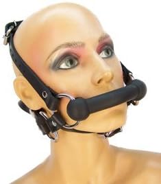 Pony Bridle Harness with Reins