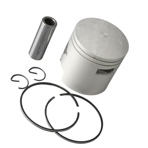 Jeu de pistons et segments de piston 0.25mm O/s pour moteur hors-bord 2 temps