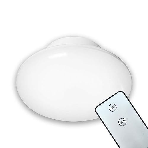 Amazon.co.jp: LEDシーリングライト 小型 リモコン付き 2-4畳 20W形