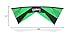 Revolution Kites EXP Sport Wing Kite with Reflex Technology (Handles/Line Set/Instruction Manual / 1 Spare Shaft) (Green/Black)