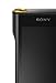 Sony NW-WM1A 128GB Premium Walkman - Digital Music Player with Hi-Res Audio, Black