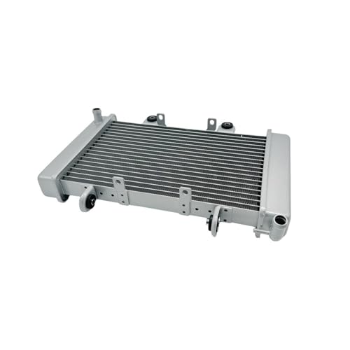 Radiador de refrigeración para 250 cc ST-9E XY250ST-9E de motor quad