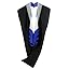 Sliver / Royal Blue / White