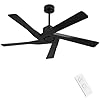 WINGBO 54″ ABS DC Ceiling Fan No Light, 5 Blade ABS Plastic Ceiling Fan with Remote, 6-Speed Reversible DC Motor, Ceiling Fan without Light for Kitchen Bedroom Living Room, Matte Black