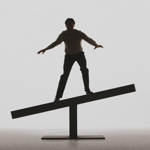 『Embracing the Seesaw: A Journey of Proportional Balance』のカバーアート