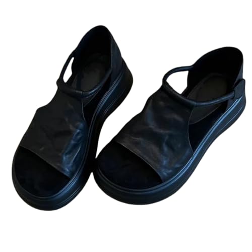 [OZECYYX] 3E  EGbW\[ fB[X T_ 5cm  ʋC y  ₷ Xb| }WbNe[v Xgbv x?  (ubN,23.5 cm)