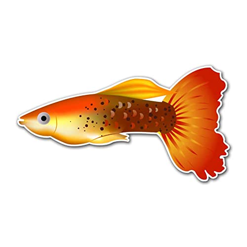 Orange and Yellow Fancy Tail Guppy Aquarium Fish Vinyl Decal