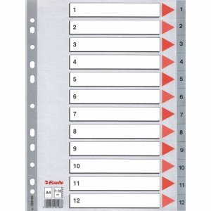 Preisvergleich Produktbild Esselte 10 x Register A4 1-12 PP grau