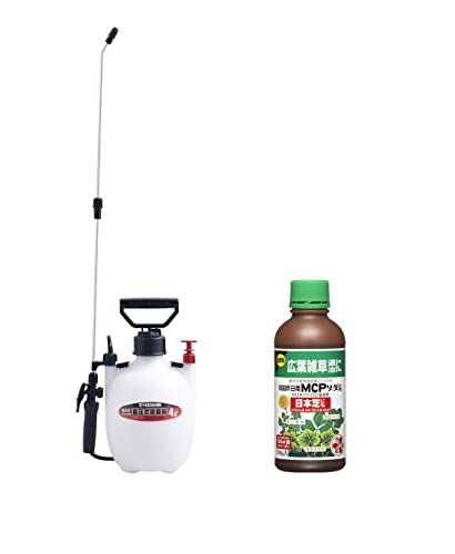 Hi ~  ^N 4L ~X^[I[g&ZFw|  ƒ뉀|pYMCP\[_300g