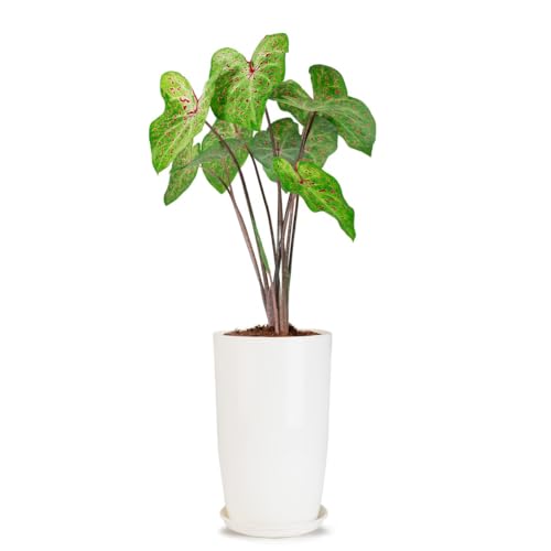 Image of BonKaso 18 inch Solid White Flower Pot - Tall, Durable & Lightweight Polymer Tower Planter for Indoor & Outdoor Use: Home, Office, Garden & Balcony (Gamla /Gamale)