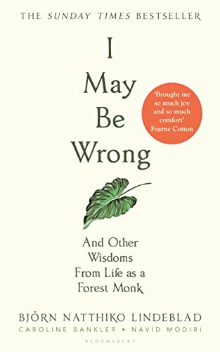 I May Be Wrong view 2