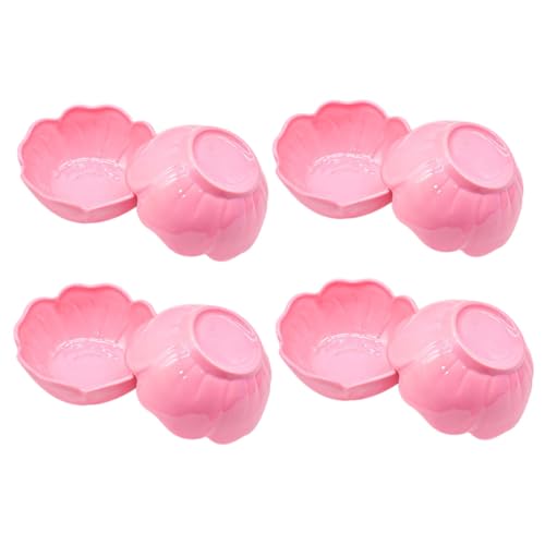 Anneome 12 ԕ ~LVO{E XLPAANZT[ pa