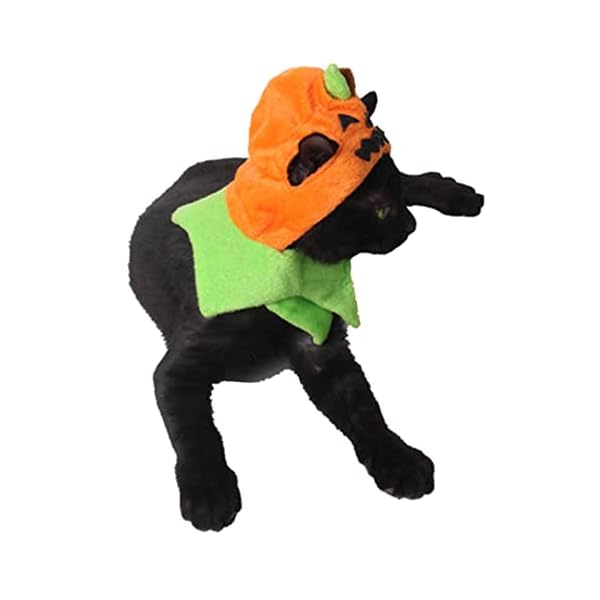 Orgrimmar halloween pumpkin cat hat cat cosplay costume cap kitty cat collar costume - image 5