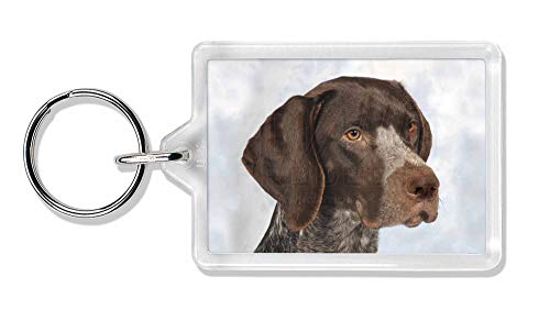 Preisvergleich Produktbild Advanta - Keyrings Deutsch Pointer Dog Foto Schlüsselbund TierstrumpffüllerGeschenk