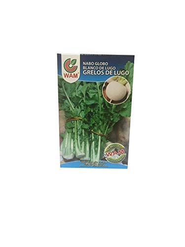 Semillas de Grelos de Lugo (250 gr)