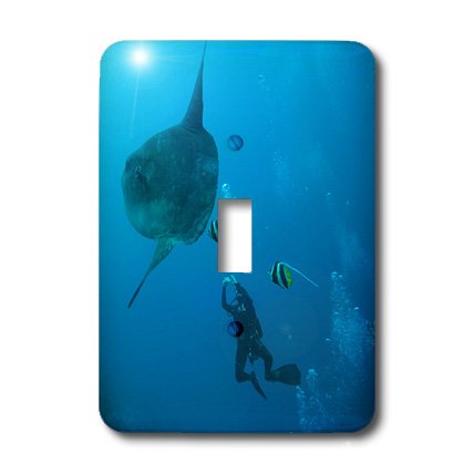 Interrupteur à bascule poissons de soleil pour une commande fluide et robuste - 3