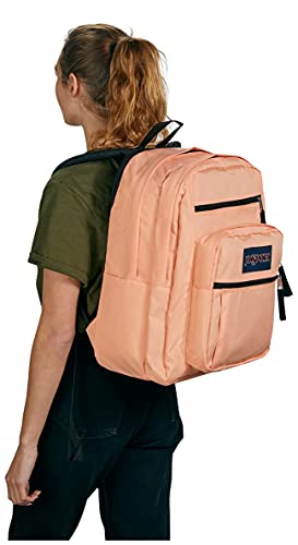 JanSport Big Student Backpack - Salmon3