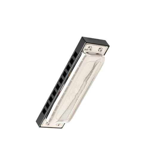 vdl̃n[jJ 10  tKpy Cn[jJ(Silver)