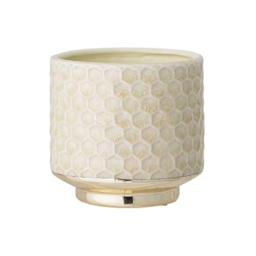 Nordring Maceta Goldy - Macetero Decorativo Redondo para Flores e Plantas para Interiores S (10 cm ø), Verde Claro, Cerámica