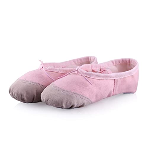 Ballet Shoes Girls Ballet Slippers Gymnastic Practice Flats Girls Ballet Dance Shoes Slippers for Kids Toddler,SHhg894064469-Pink 1-37 EU